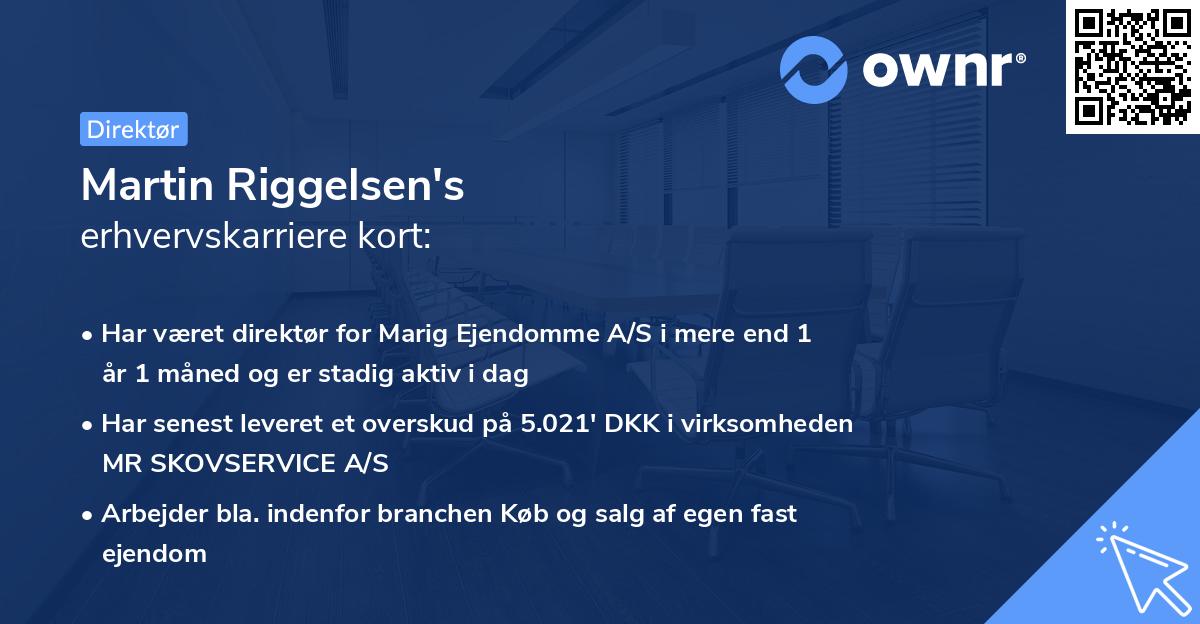 Martin Riggelsen's erhvervskarriere kort