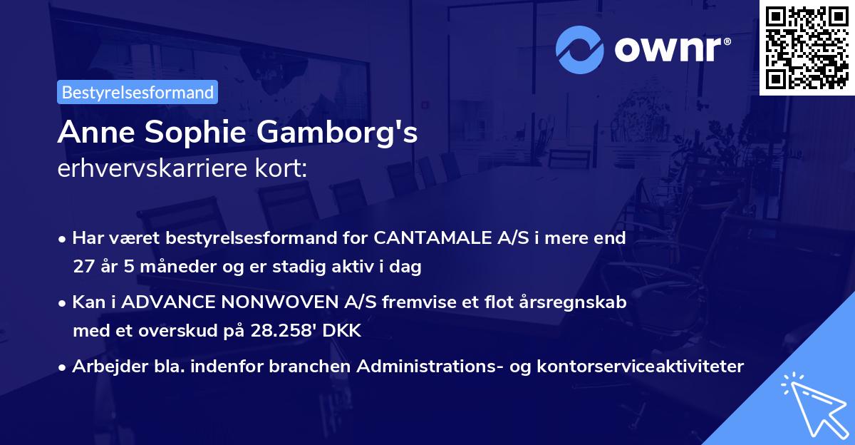 Anne Sophie Gamborg's erhvervskarriere kort