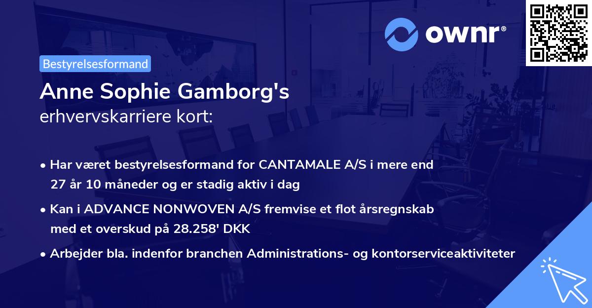 Anne Sophie Gamborg's erhvervskarriere kort
