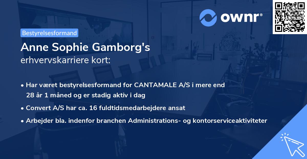 Anne Sophie Gamborg's erhvervskarriere kort