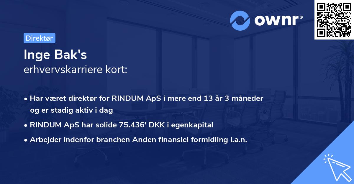 Inge Bak's erhvervskarriere kort