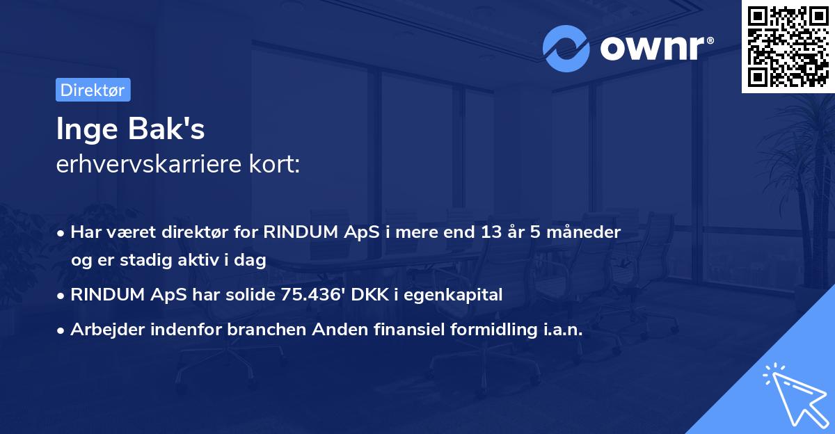 Inge Bak's erhvervskarriere kort