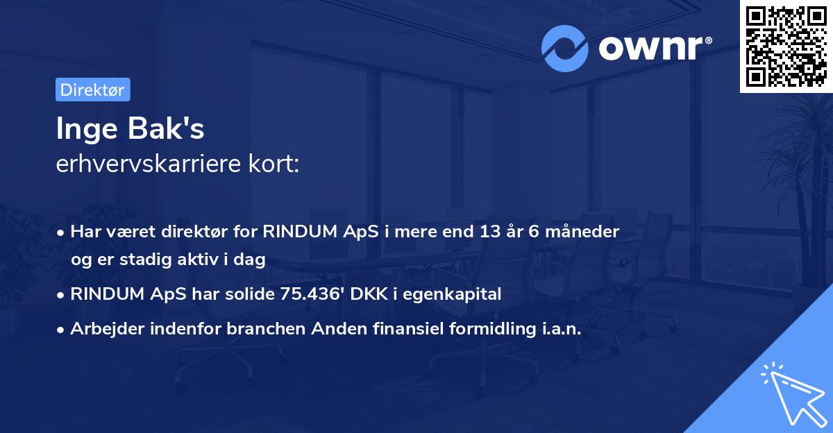 Inge Bak's erhvervskarriere kort