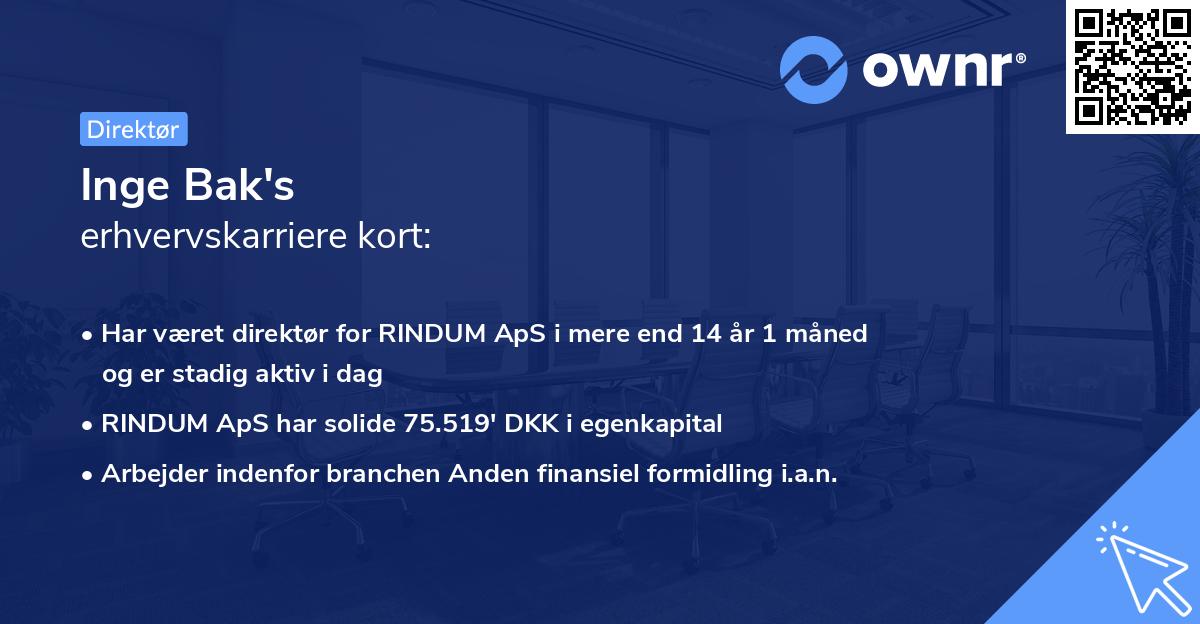 Inge Bak's erhvervskarriere kort