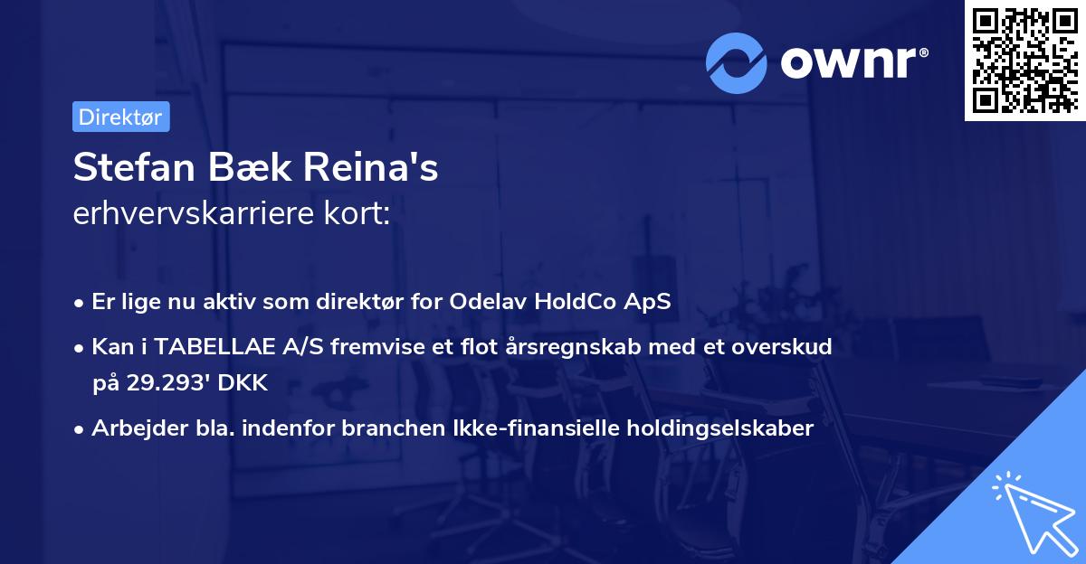 Stefan Bæk Reina's erhvervskarriere kort