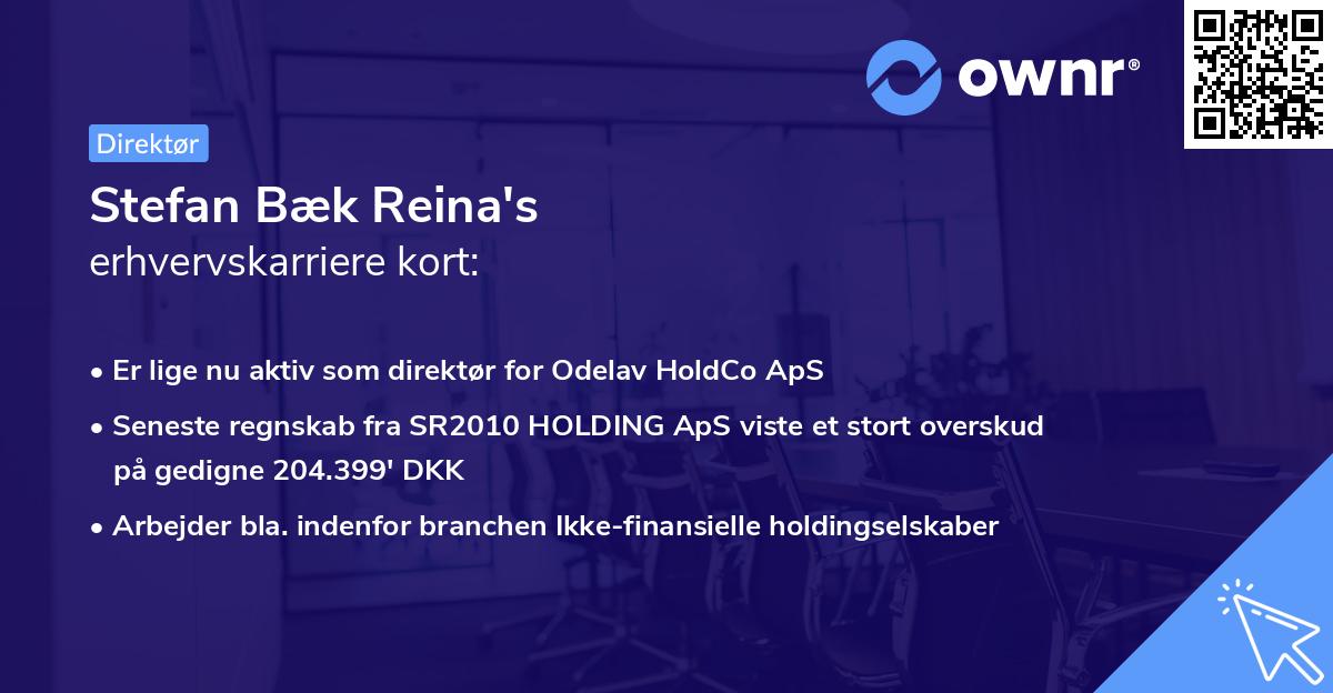 Stefan Bæk Reina's erhvervskarriere kort