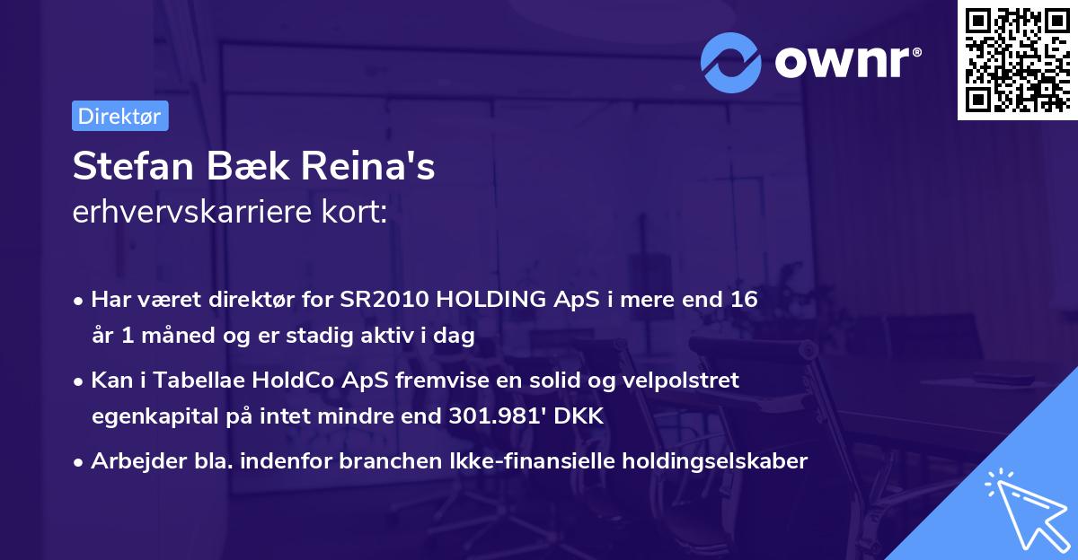 Stefan Bæk Reina's erhvervskarriere kort