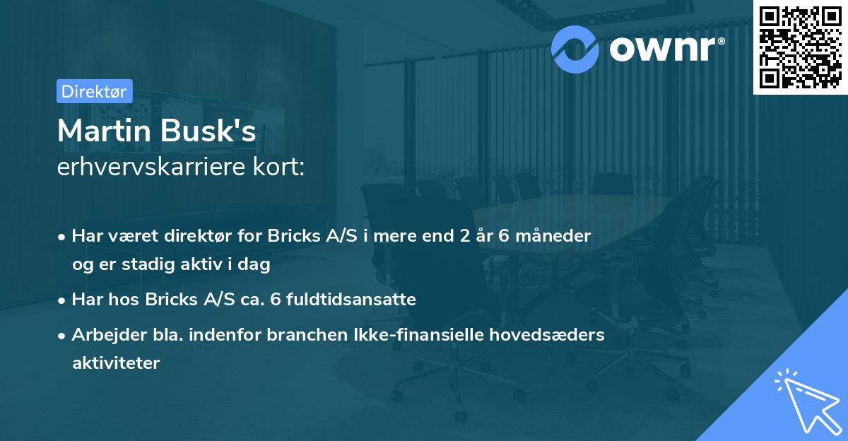 Martin Busk's erhvervskarriere kort