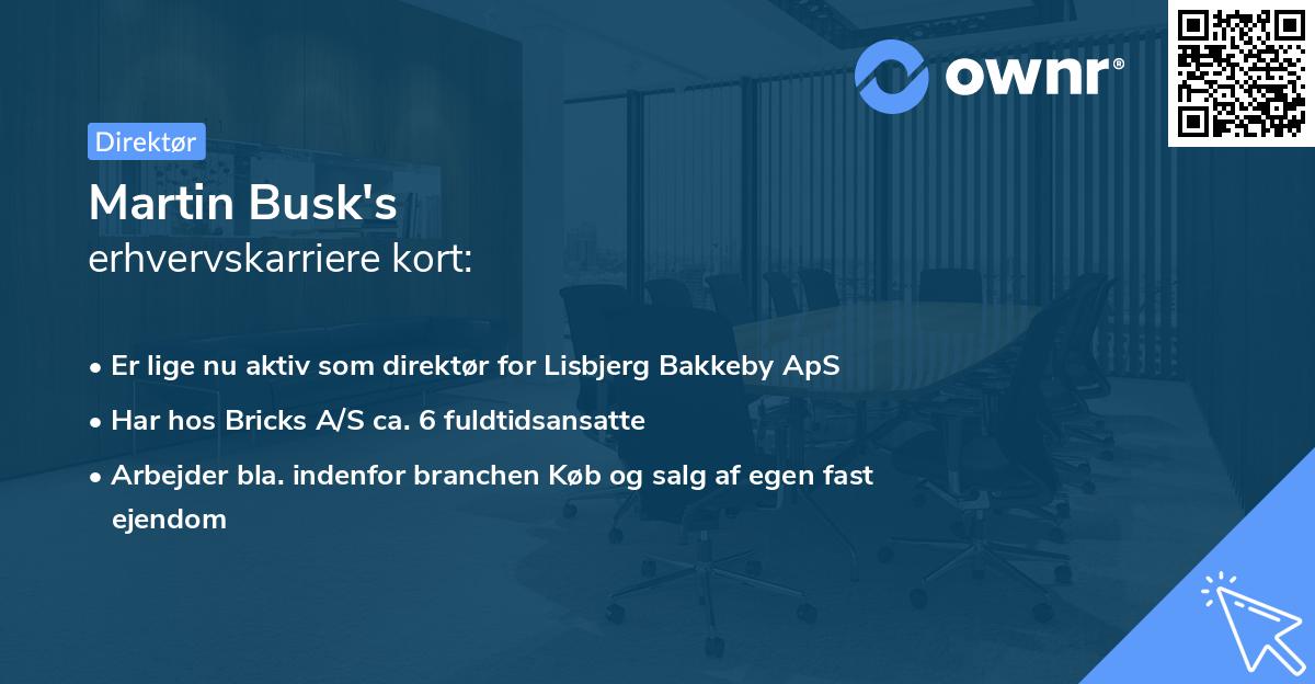 Martin Busk's erhvervskarriere kort
