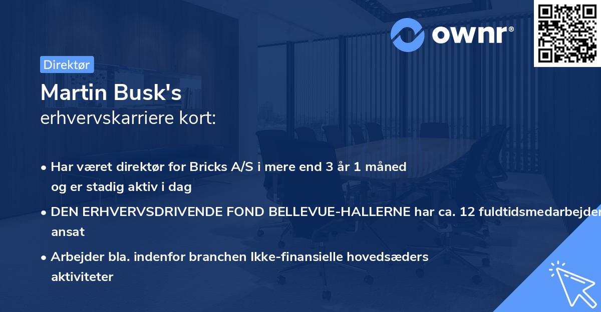 Martin Busk's erhvervskarriere kort