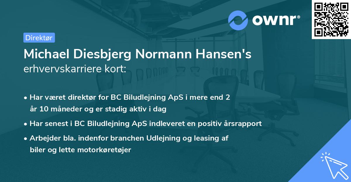 Michael Diesbjerg Normann Hansen's erhvervskarriere kort