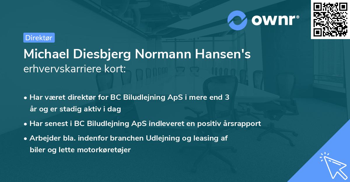 Michael Diesbjerg Normann Hansen's erhvervskarriere kort