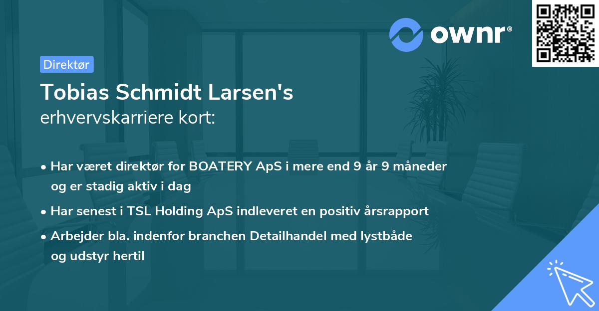 Tobias Schmidt Larsen's erhvervskarriere kort