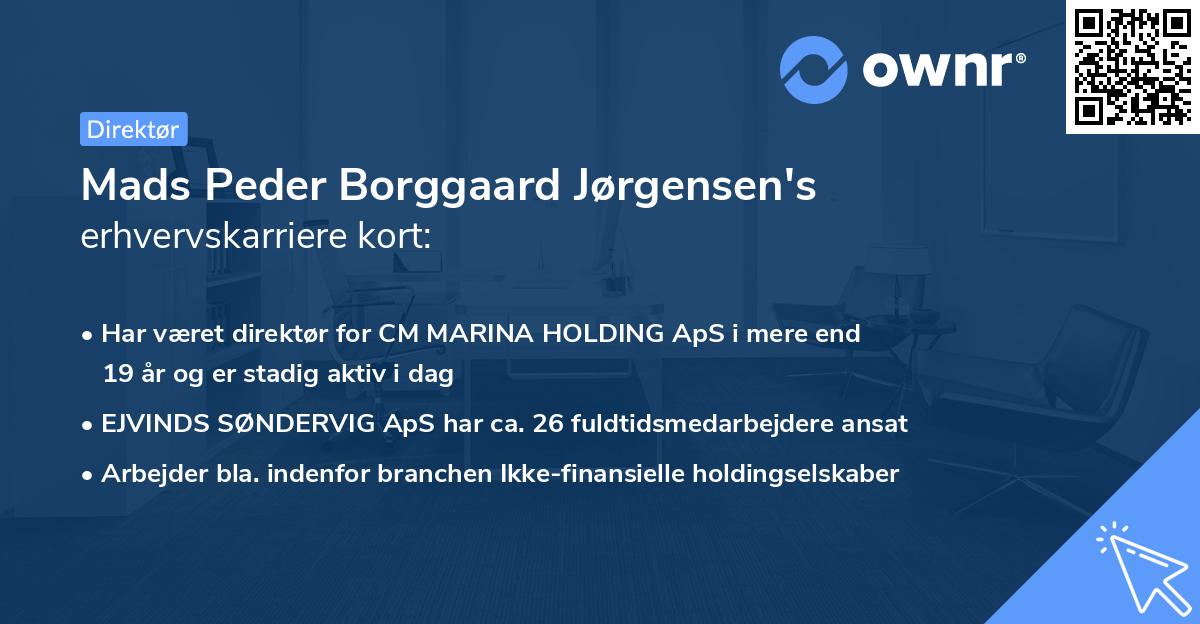 Mads Peder Borggaard Jørgensen's erhvervskarriere kort