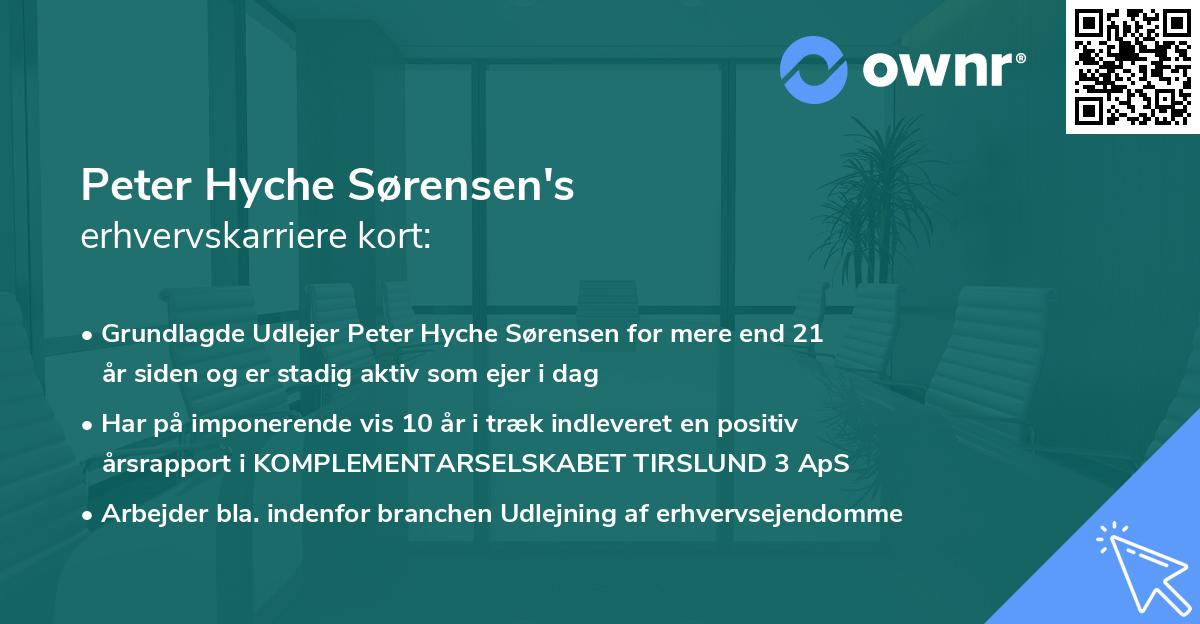 Peter Hyche Sørensen's erhvervskarriere kort