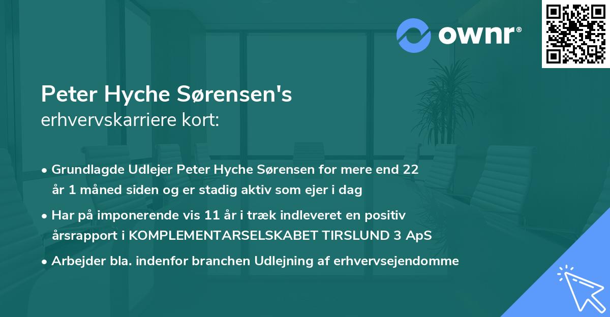 Peter Hyche Sørensen's erhvervskarriere kort