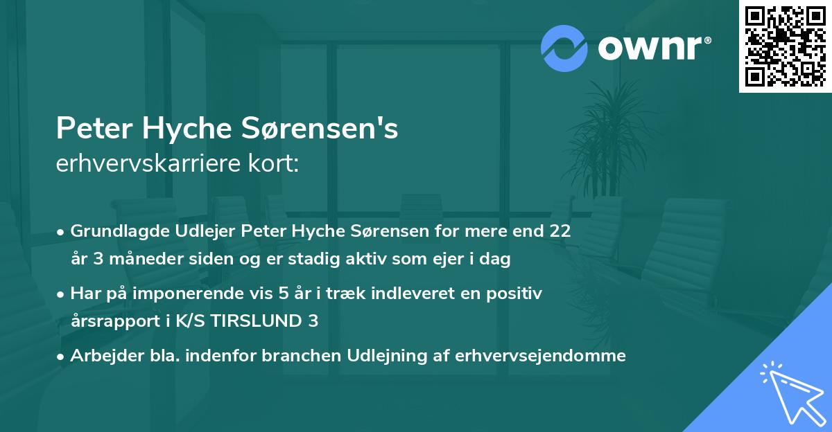 Peter Hyche Sørensen's erhvervskarriere kort