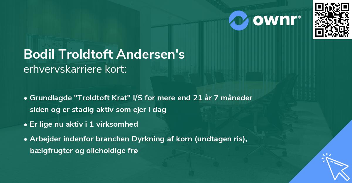 Bodil Troldtoft Andersen's erhvervskarriere kort