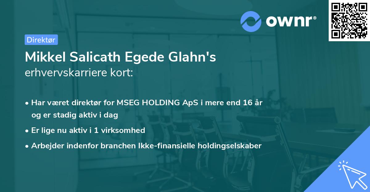 Mikkel Salicath Egede Glahn's erhvervskarriere kort