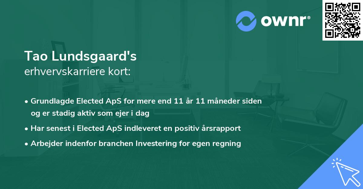 Tao Lundsgaard's erhvervskarriere kort
