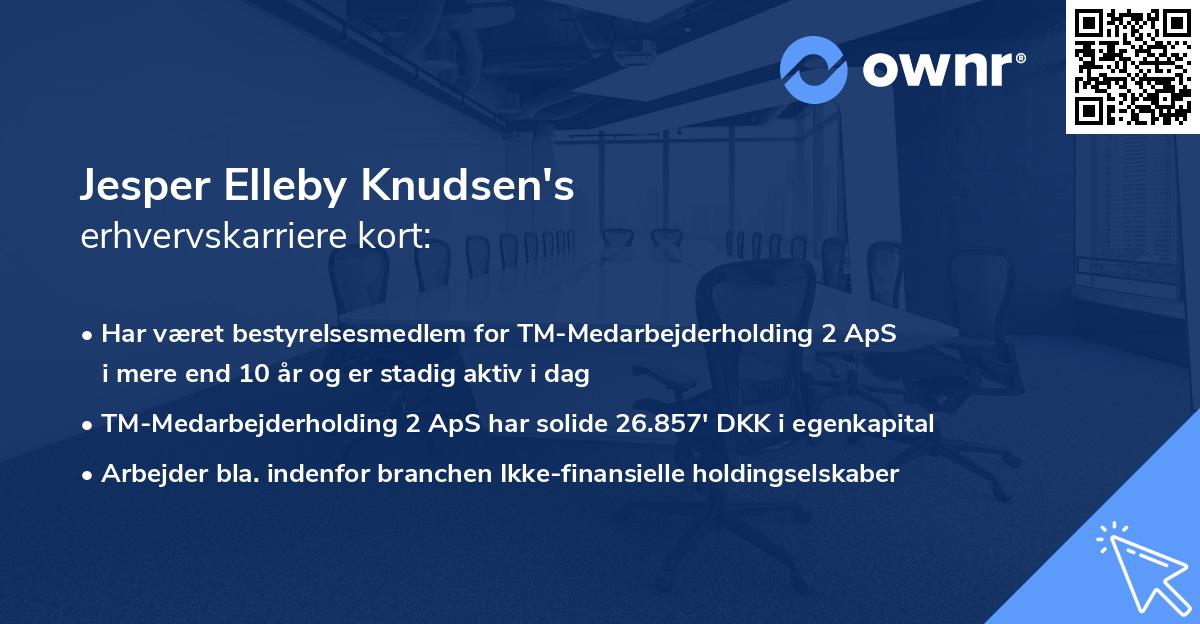 Jesper Elleby Knudsen's erhvervskarriere kort