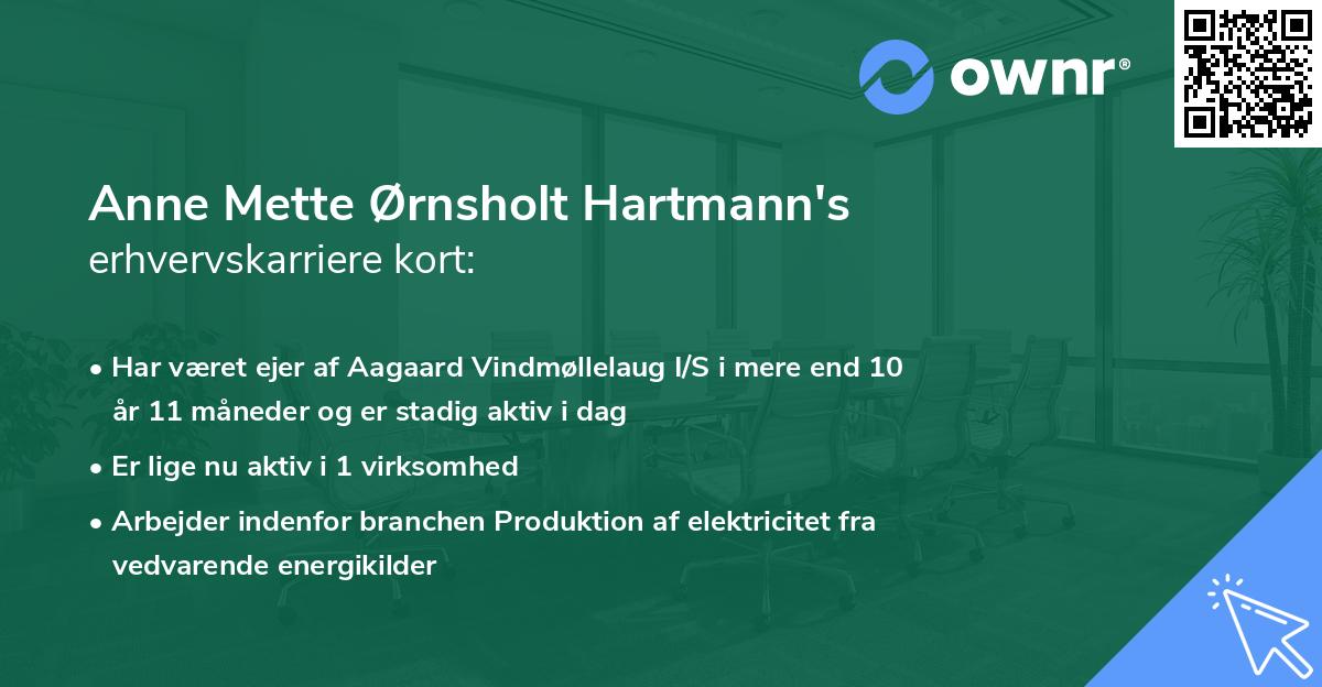 Anne Mette Ørnsholt Hartmann's erhvervskarriere kort