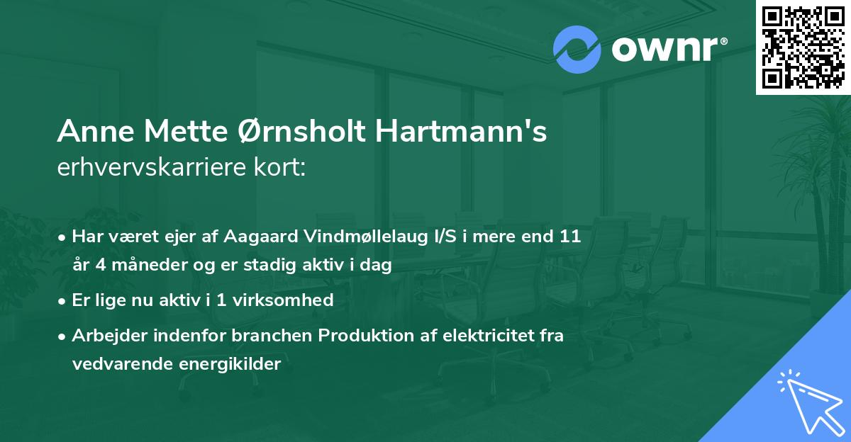 Anne Mette Ørnsholt Hartmann's erhvervskarriere kort