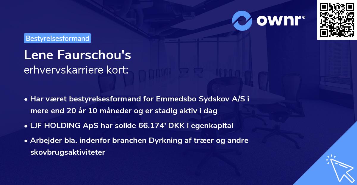 Lene Faurschou's erhvervskarriere kort