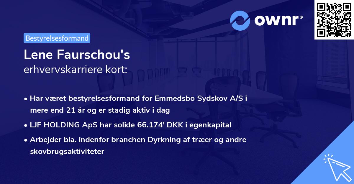 Lene Faurschou's erhvervskarriere kort