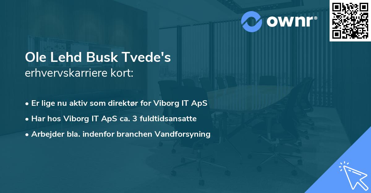 Ole Lehd Busk Tvede's erhvervskarriere kort