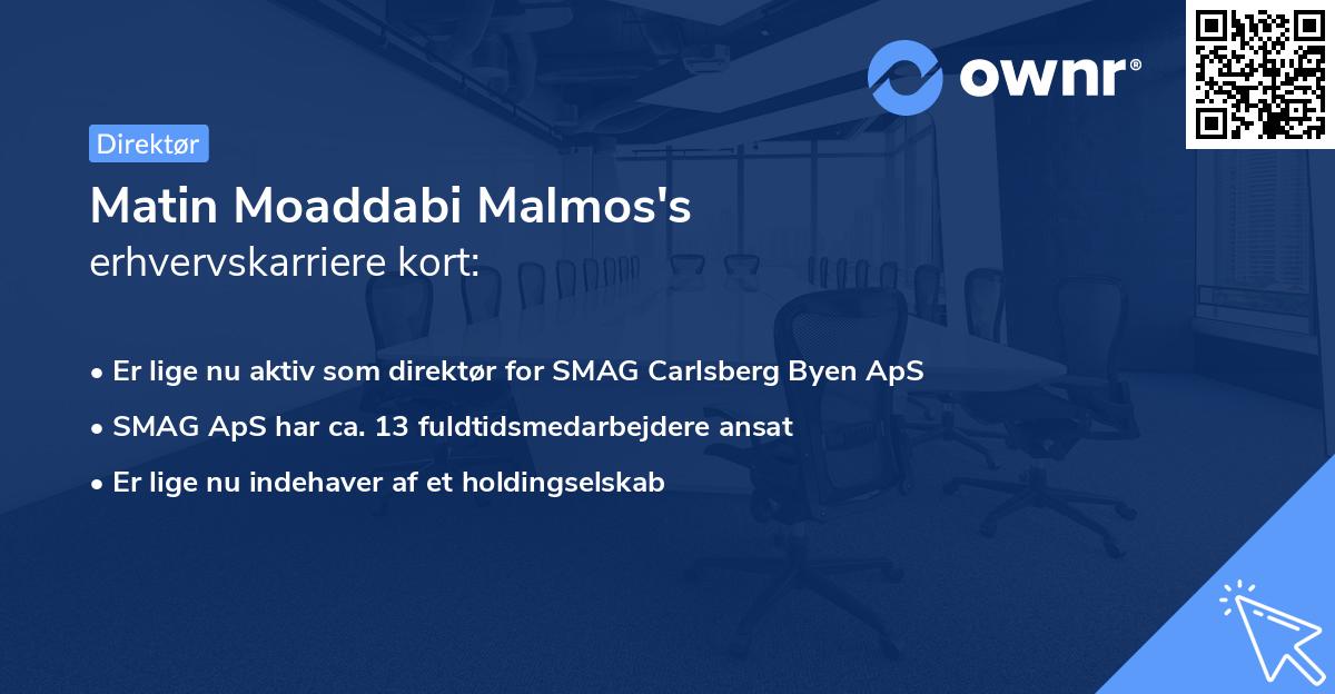 Matin Moaddabi Malmos's erhvervskarriere kort