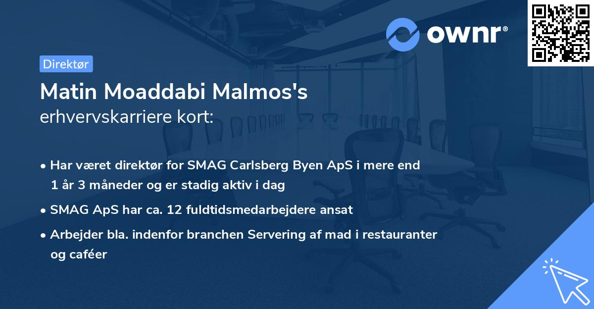 Matin Moaddabi Malmos's erhvervskarriere kort