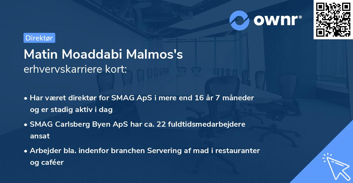 Matin Moaddabi Malmos's erhvervskarriere kort