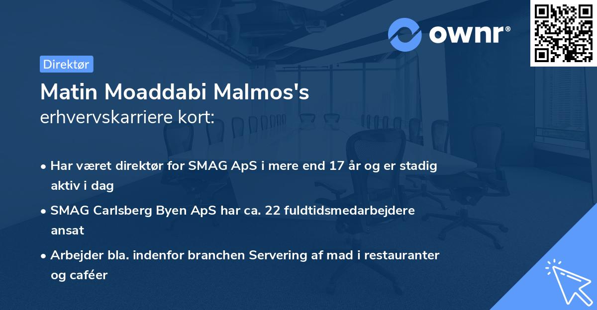 Matin Moaddabi Malmos's erhvervskarriere kort