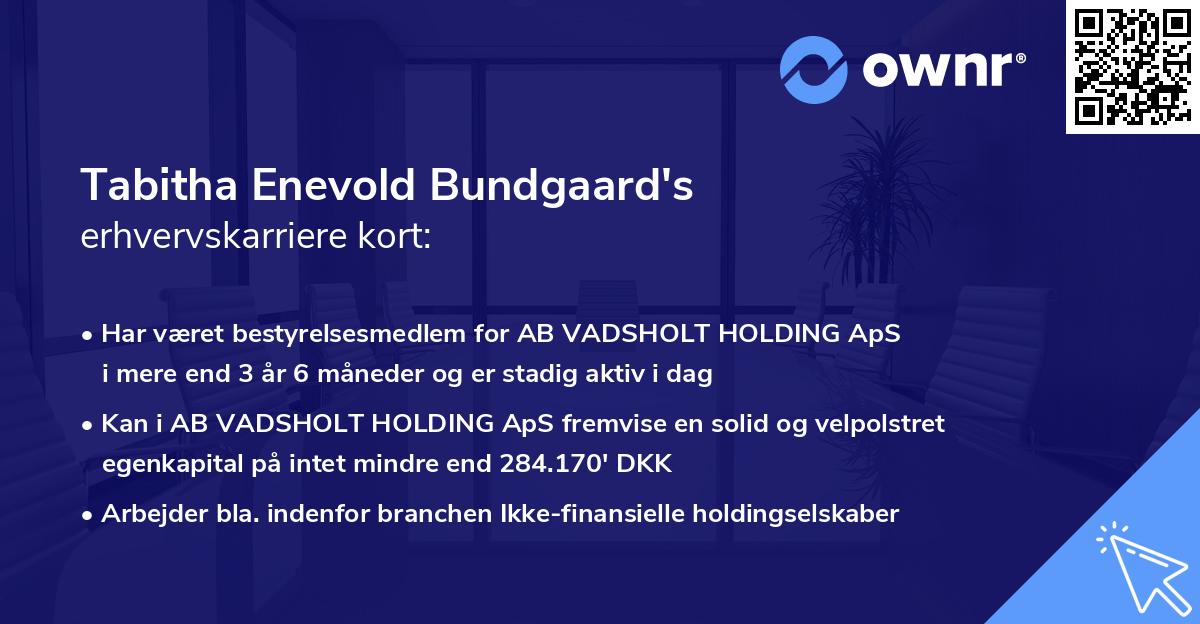 Tabitha Enevold Bundgaard's erhvervskarriere kort