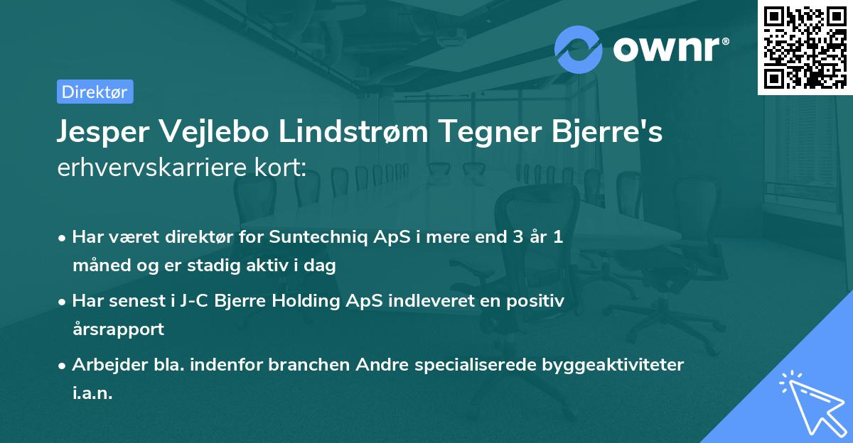 Jesper Vejlebo Lindstrøm Tegner Bjerre's erhvervskarriere kort
