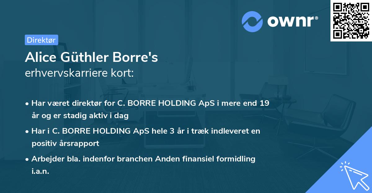 Alice Güthler Borre's erhvervskarriere kort