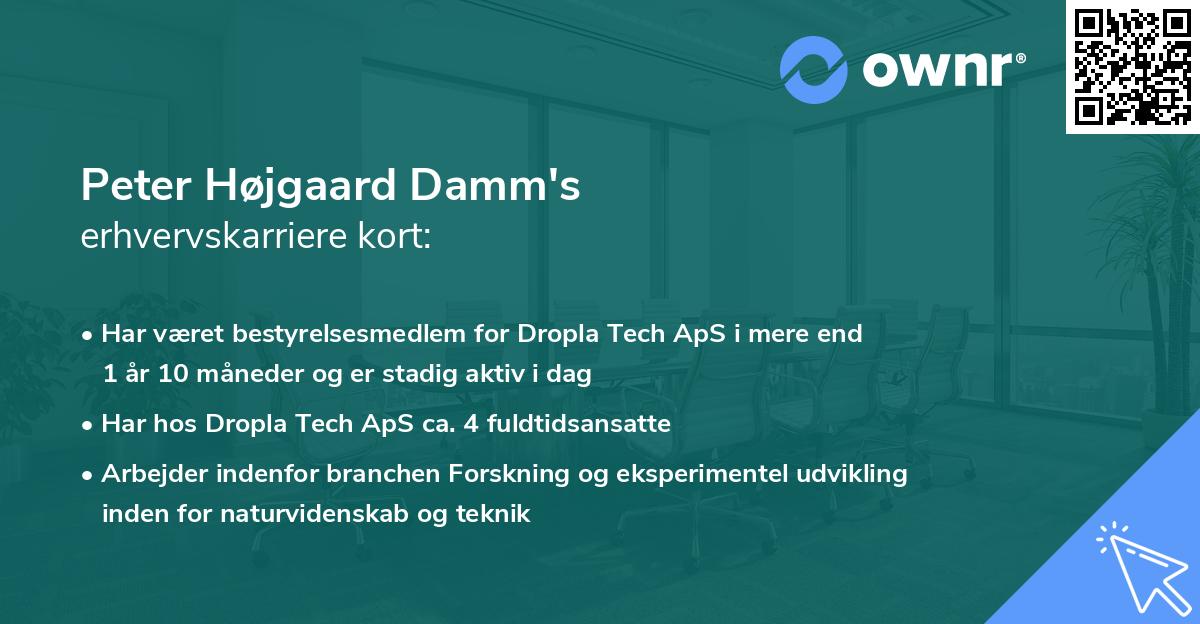 Peter Højgaard Damm's erhvervskarriere kort
