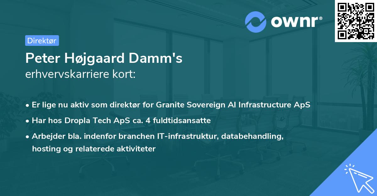 Peter Højgaard Damm's erhvervskarriere kort