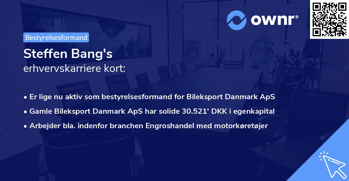 Steffen Bang's erhvervskarriere kort