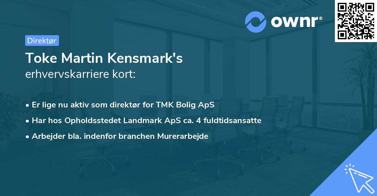 Toke Martin Kensmark's erhvervskarriere kort