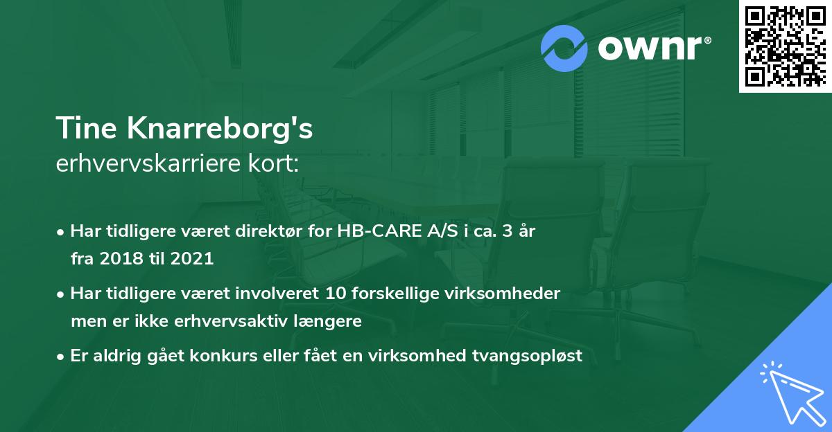Tine Knarreborg's erhvervskarriere kort