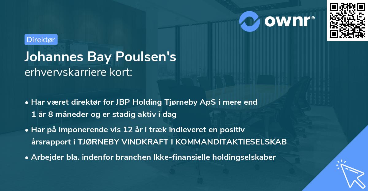 Johannes Bay Poulsen's erhvervskarriere kort