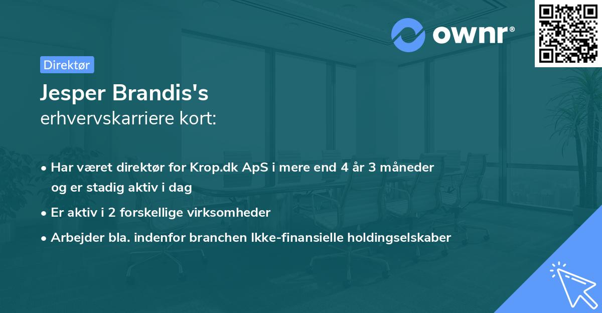 Jesper Brandis's erhvervskarriere kort