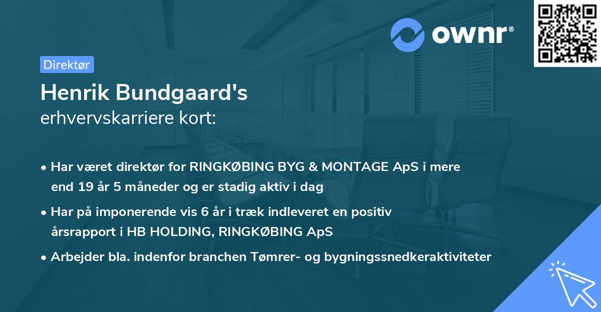 Henrik Bundgaard's erhvervskarriere kort
