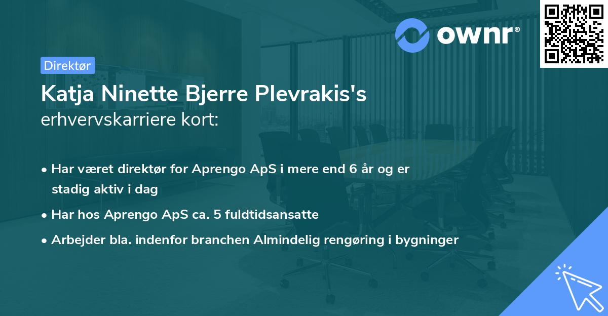 Katja Ninette Bjerre Plevrakis's erhvervskarriere kort
