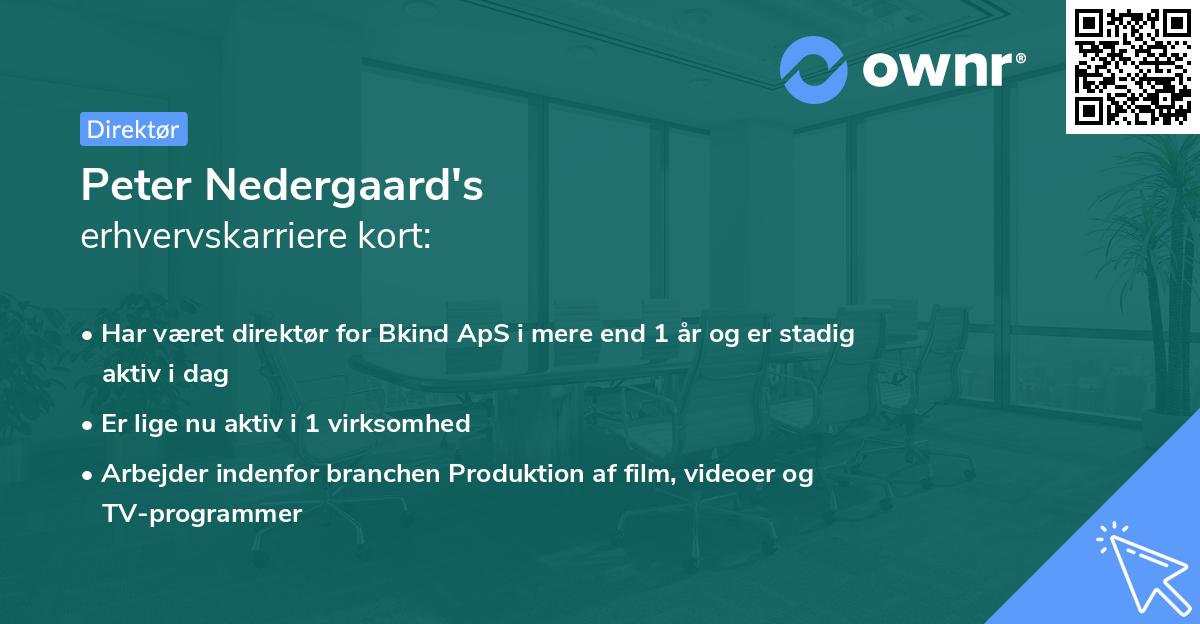 Peter Nedergaard's erhvervskarriere kort