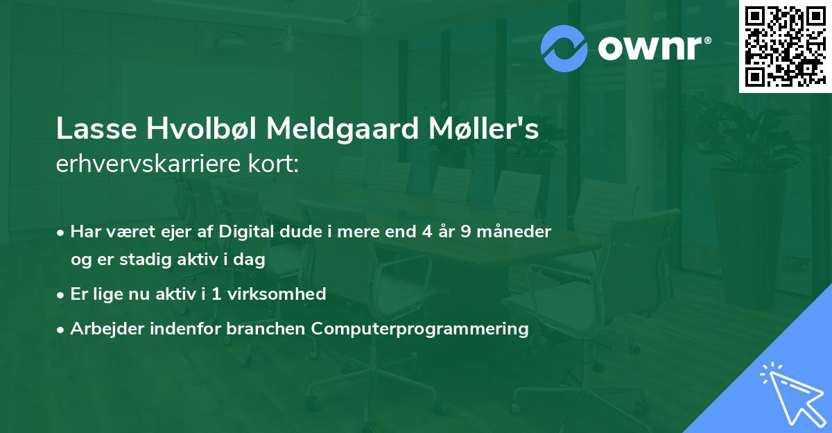 Lasse Hvolbøl Meldgaard Møller's erhvervskarriere kort