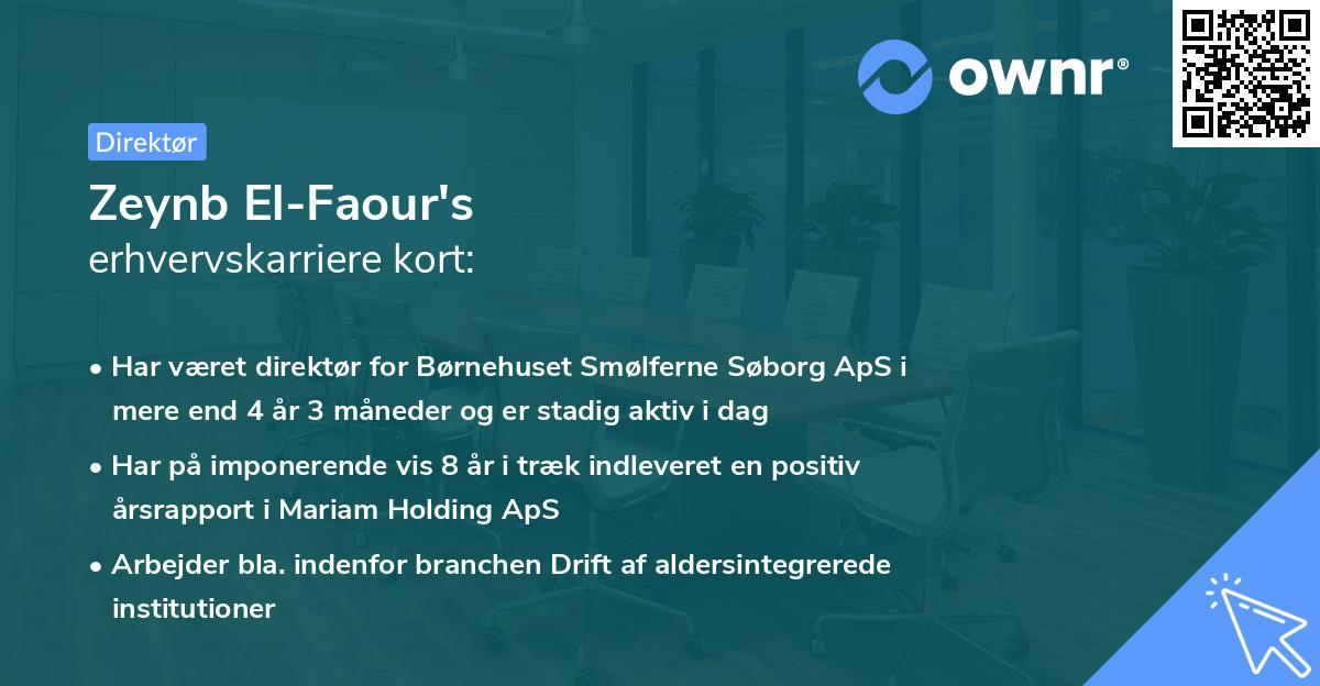 Zeynb El-Faour's erhvervskarriere kort