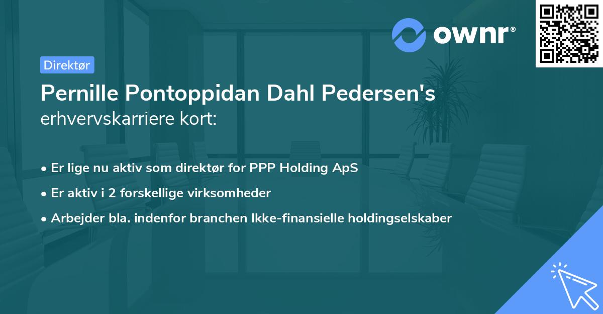 Pernille Pontoppidan Dahl Pedersen's erhvervskarriere kort